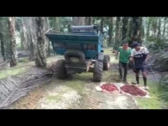 WEA08 CIĄGNIK DO OLEJU PALMOWEGO