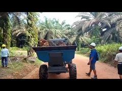 Maszyna do zbioru oleju palmowego z otwartą kabiną 1325 mm Waga 1250 kg z chwytakiem