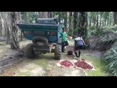 Maszyna do zbioru oleju palmowego z otwartą kabiną 1325 mm Waga 1250 kg z chwytakiem