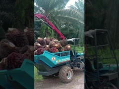 22KM Indonezja Traktor do oleju palmowego Mini Traktor rolniczy z uchwytem