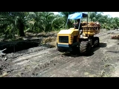 Hydrauliczny mini ciągnik rolniczy silnik 14hp silnik ciągnik silnikowy do plantacji oleju palmowego